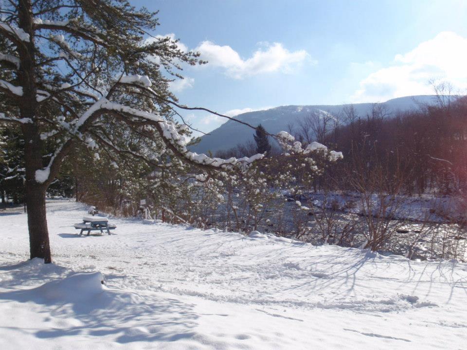 Hunter View Lodging Экстерьер фото