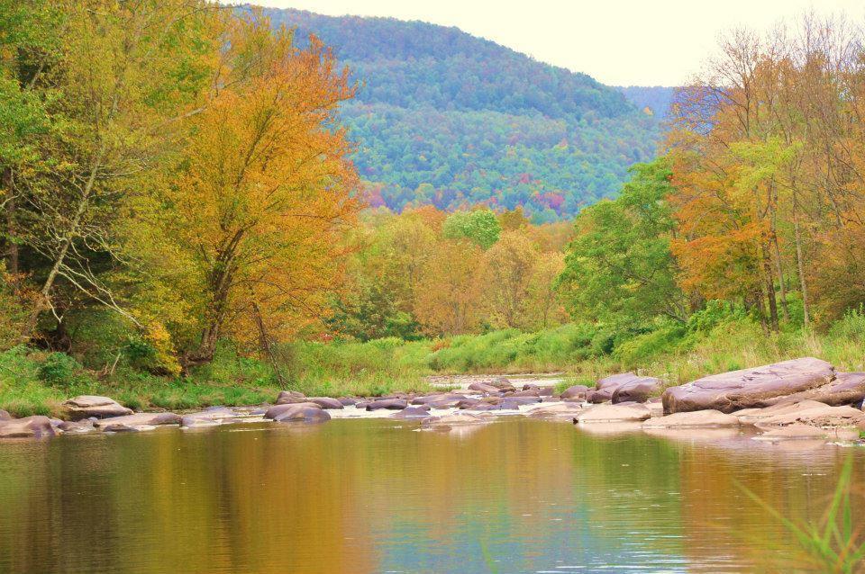 Hunter View Lodging Экстерьер фото